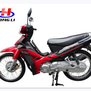 Hongli brand motorcycle 90cc 125cc cub