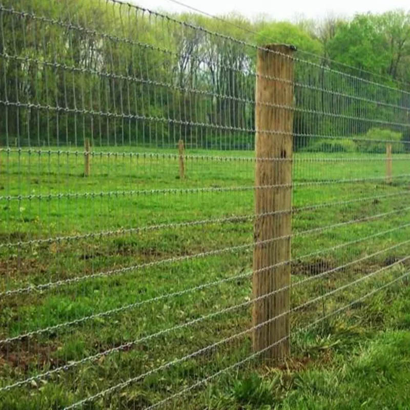 Wholesale Galvanized Grassland Wire Mesh Fence Cattle / Sheep / Field / Deer Farm Fence