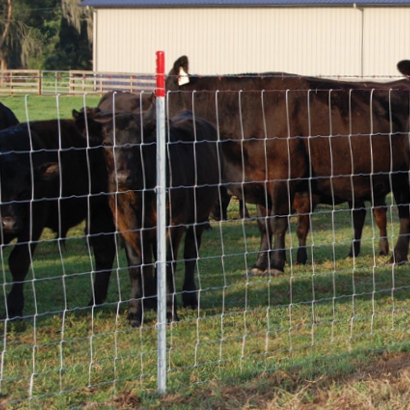 Cheap Galvanized Hog Wire Fencing Grassland Field Animal Goat Sheep Deer Cattle Fence On Farm