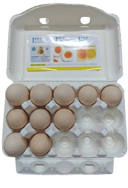 Customized high quality 6/7/10/12/15/18/20dozen egg duck paper pulp colored egg cartons for  packaging