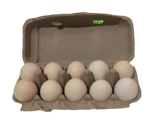 Customized high quality 6/7/10/12/15/18/20dozen egg duck paper pulp colored egg cartons for  packaging