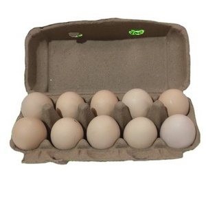 Customized high quality 6/7/10/12/15/18/20dozen egg duck paper pulp colored egg cartons for  packaging