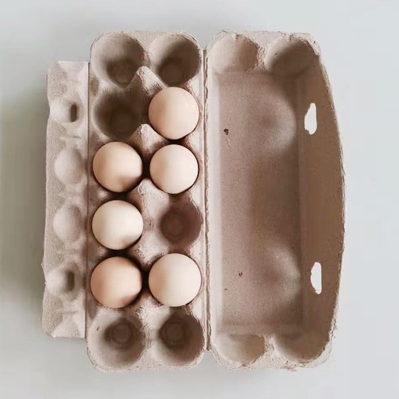 Pulp Disposable Paper Egg Cartons