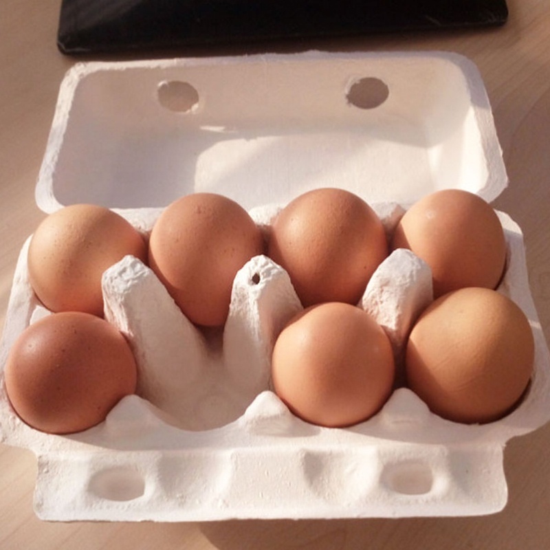 Pulp Disposable Paper Egg Cartons