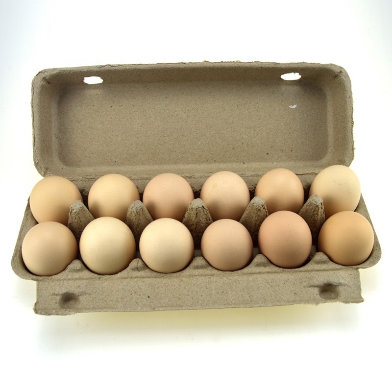 Pulp Disposable Paper Egg Cartons