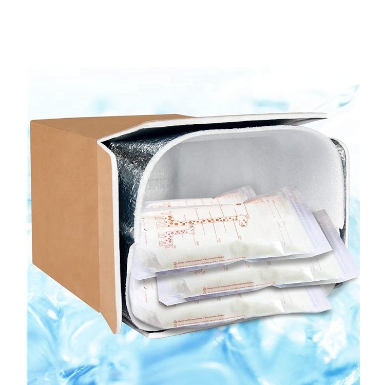 Insulated Shipping Box Middle Size Foam Aluminum Foil Box And Bag Set Insulated Delivery Mail Mailing Carton For Fresh Meat