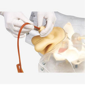 Male Urethral Catheterization Model