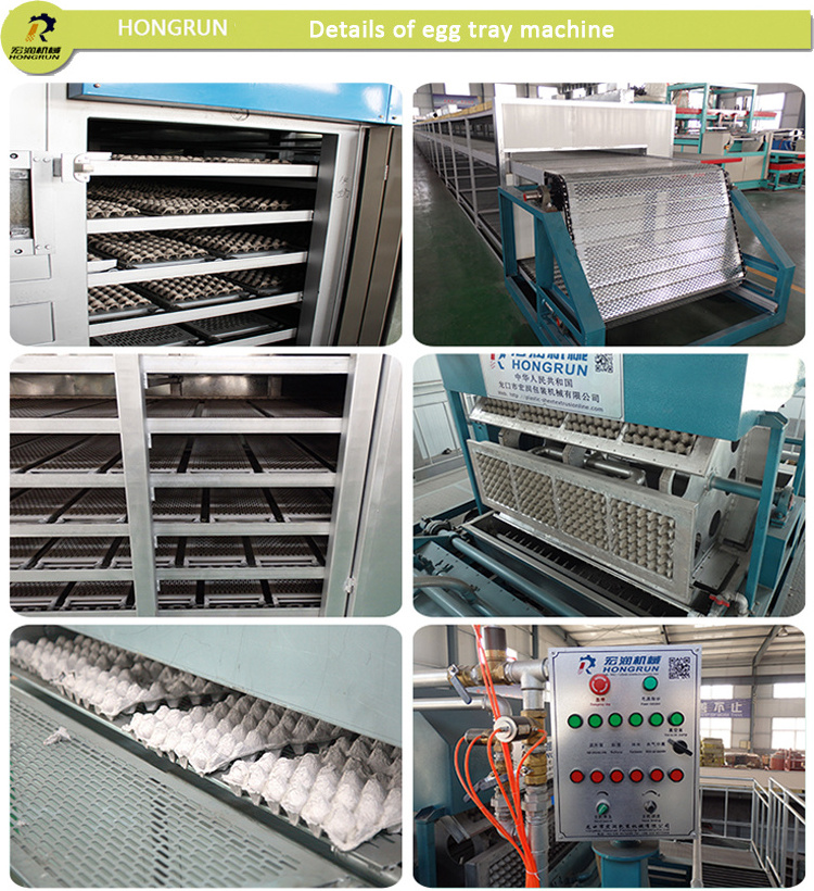 paper egg tray machine for sale paper pulp egg carton molding machine factory