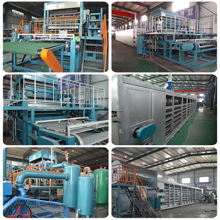 paper egg tray machine for sale paper pulp egg carton molding machine factory