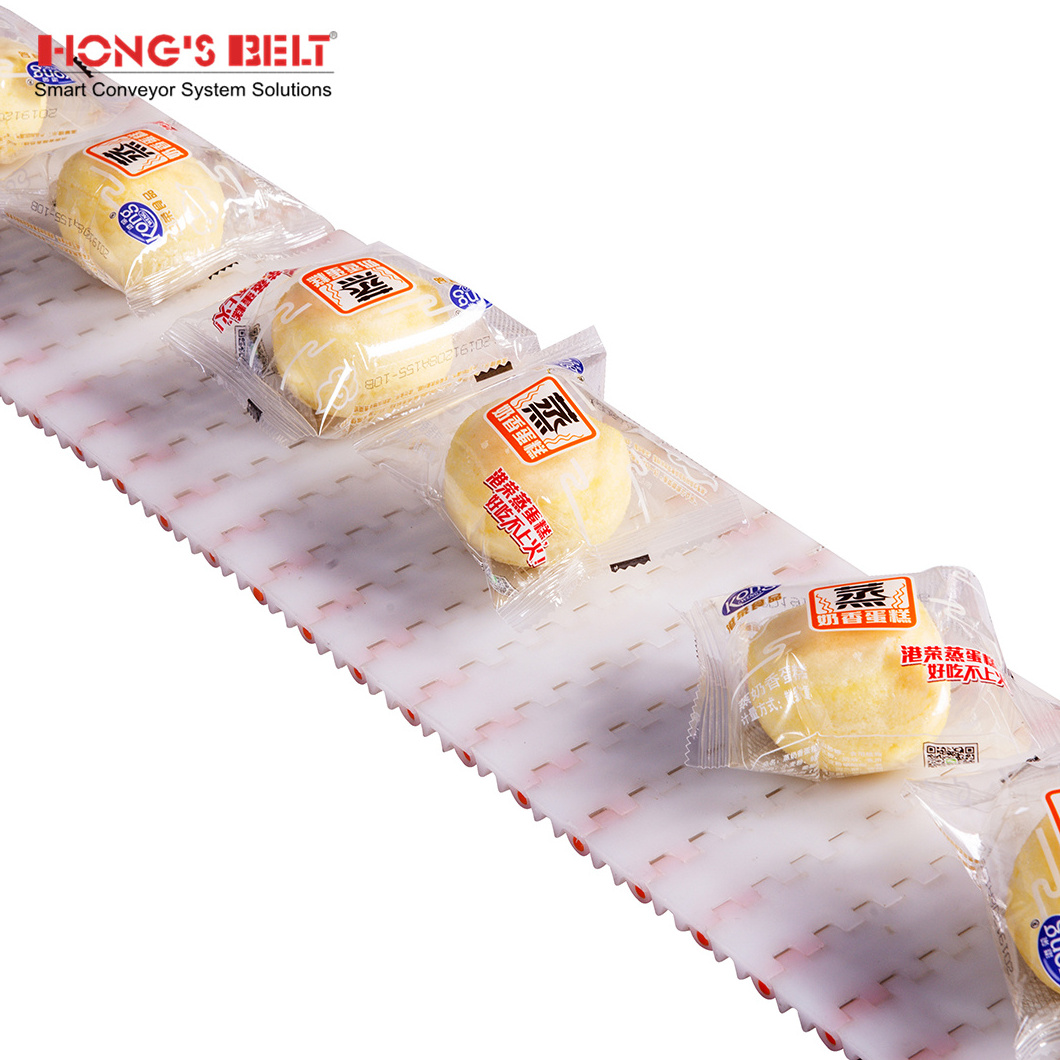 Hongsbelt HS-200A Transport plastic slat Modular Conveyor Belt for Beverage Industry conveyor