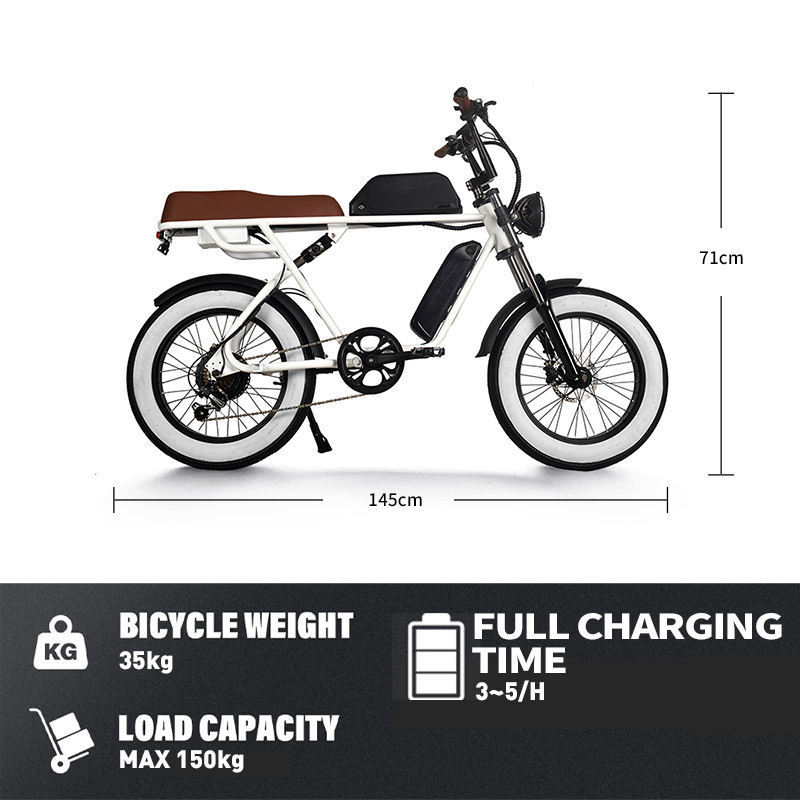 20 inch  electric fat tire  bike 500W 48V full suspension ebike