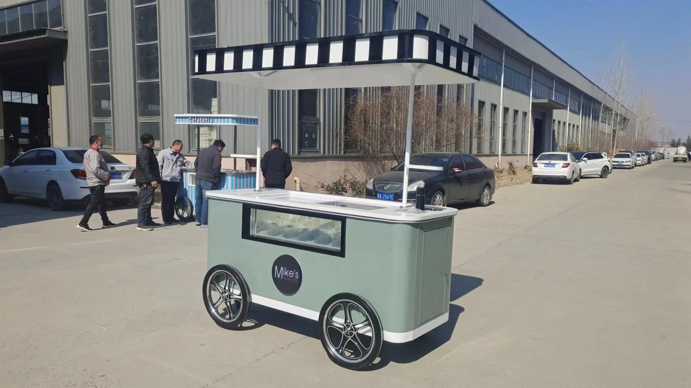 Food Trailer Umbrella Ice Cream Mobile Gelato Push Carts For Sale With Bike