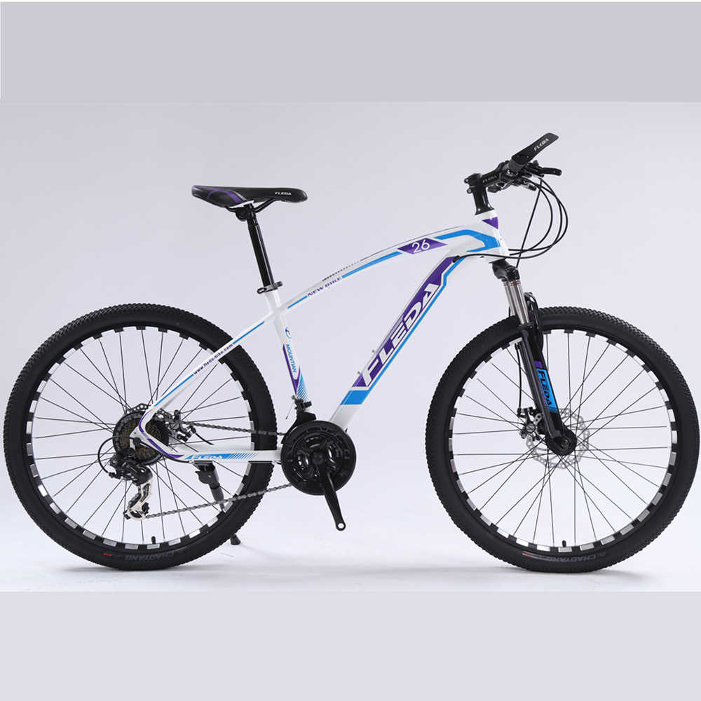 24 26 27.5 29 inch low cost wholesale steel MTB with aluminum alloy rim fat tyre bike