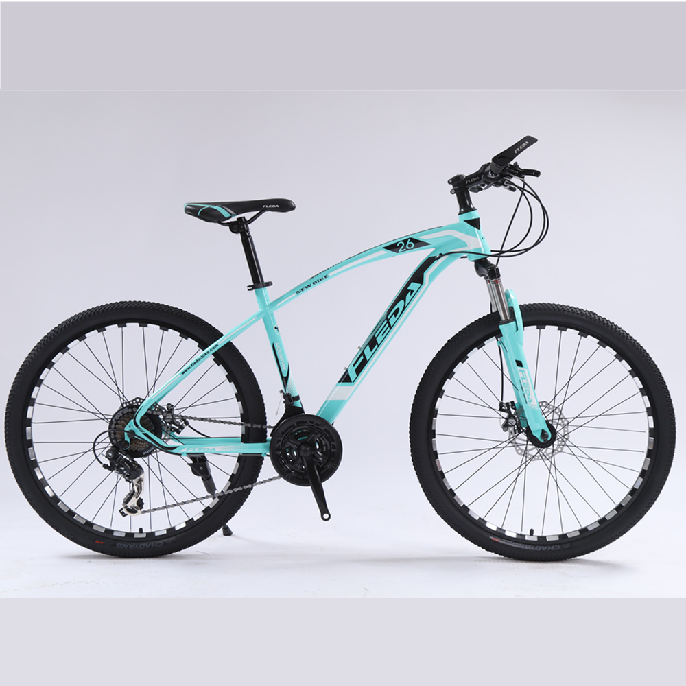 24 26 27.5 29 inch low cost wholesale steel MTB with aluminum alloy rim fat tyre bike