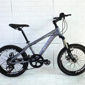 good quality 20inch bmx mountain bike with disc brake