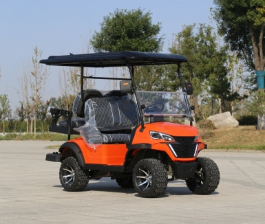 Factory supply prices electric golf cart 2 seater custom good quality lithium battery disc golf cart with doors street legal