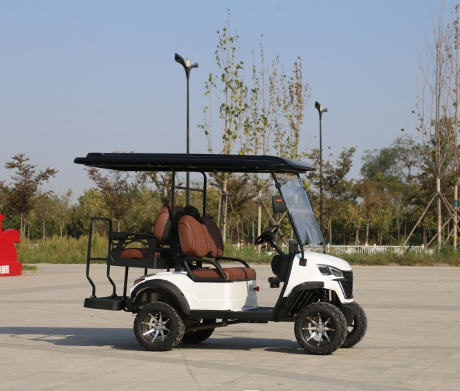 Unique Modern Hot Sale 2 Seats Electric Golf Cart Lithium Ion Battery 48 Volt Mini Electric Golf Cart