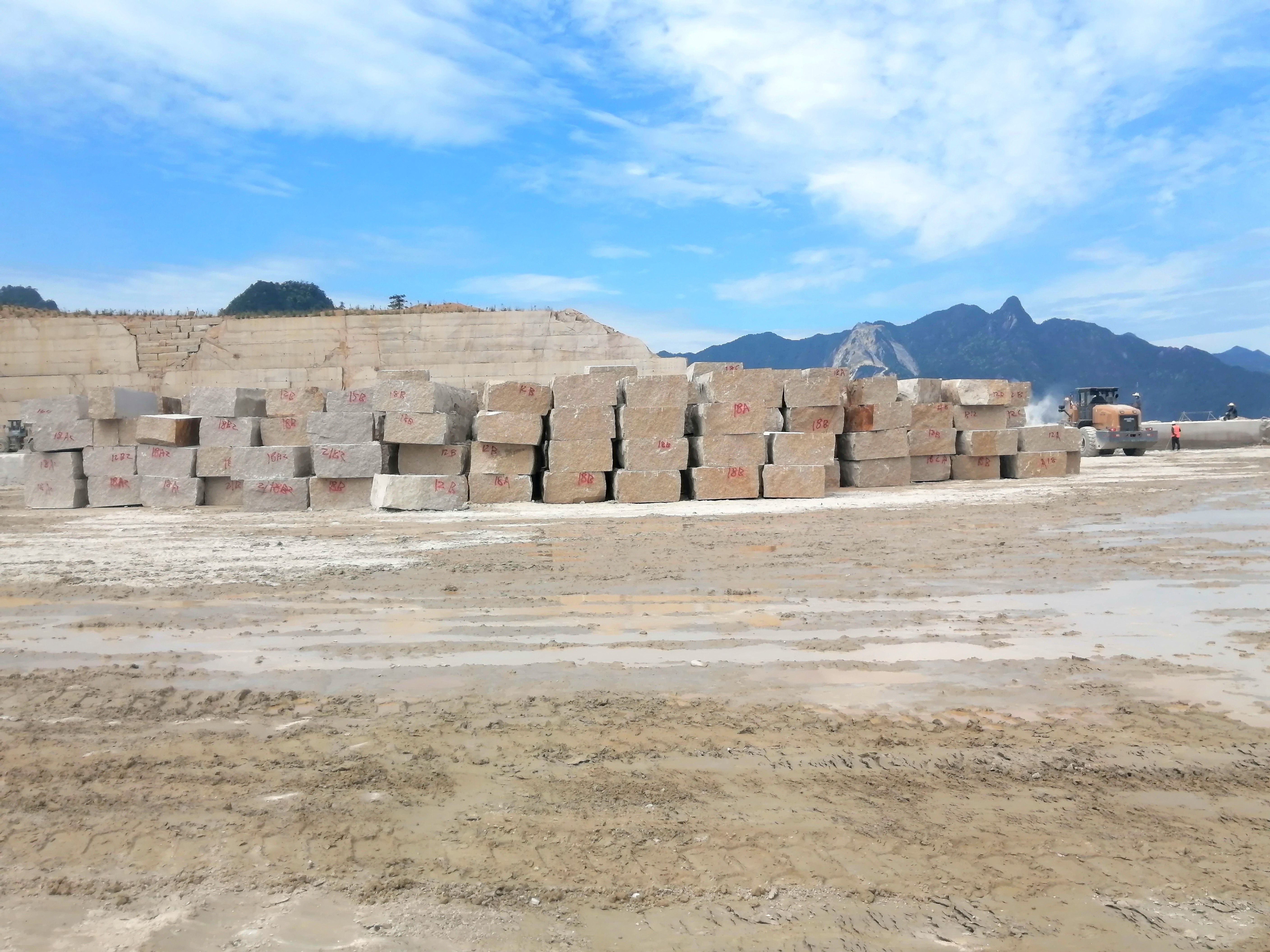 Building facade stone design yellow granite giallo santa cecilia