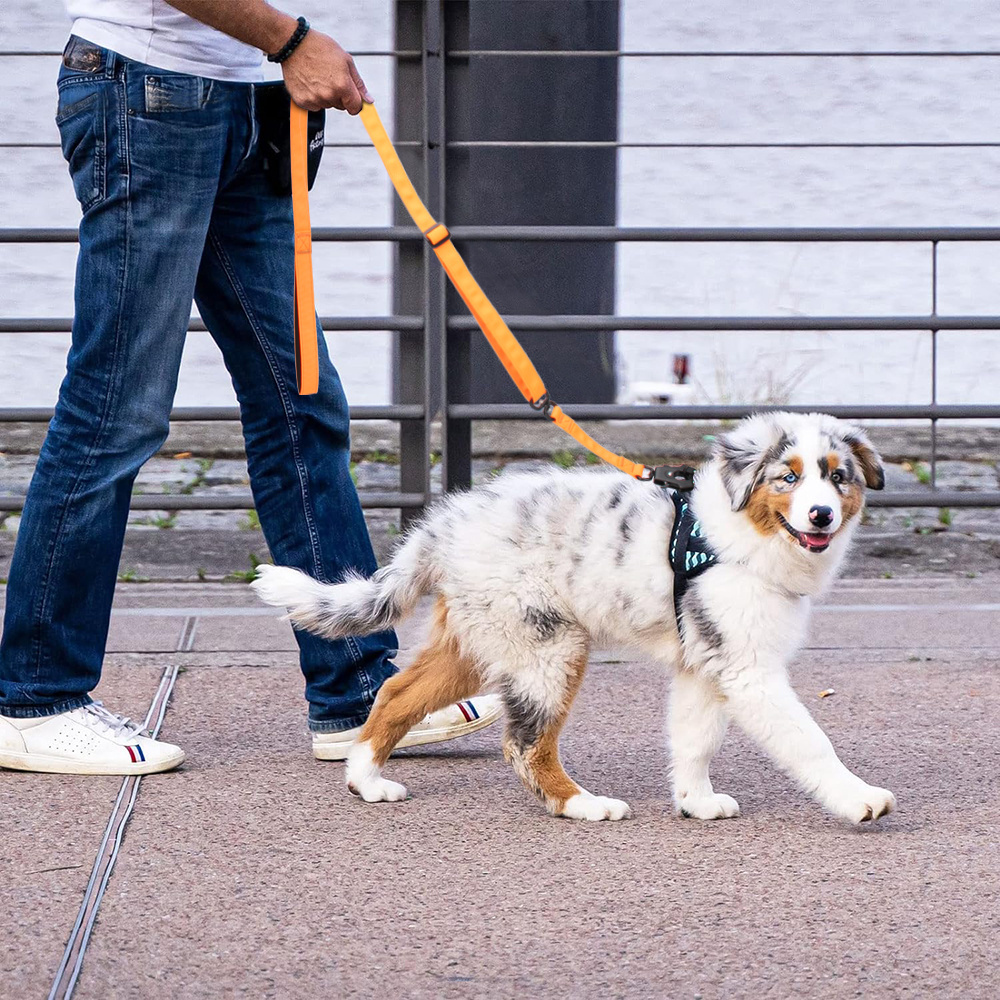 New Design Dog Leash Adjustable Length Quick Release Rotatable Frog Buckle Pet Leash Training Walking Dog Leashes