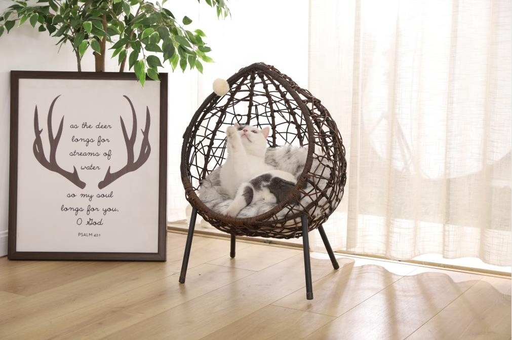 Petstar Indoor Modern Stylish Design Pet Furniture Washable Artificial Rattan Wicker Chair Cat Bed