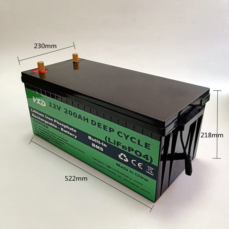 Lifepo4 Battery Pack 12V 24V 50Ah 100Ah 200Ah for Lithium Rv Battery Camping Caravan AGV UPS Storage Battery