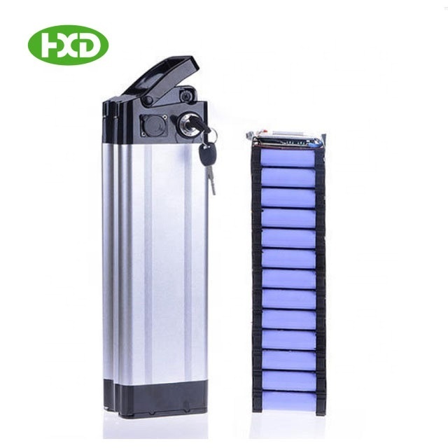 Silver fish 48v 12ah domestic 2900mAh cells ebike battery case 48v electric bike with removable electric bike battery