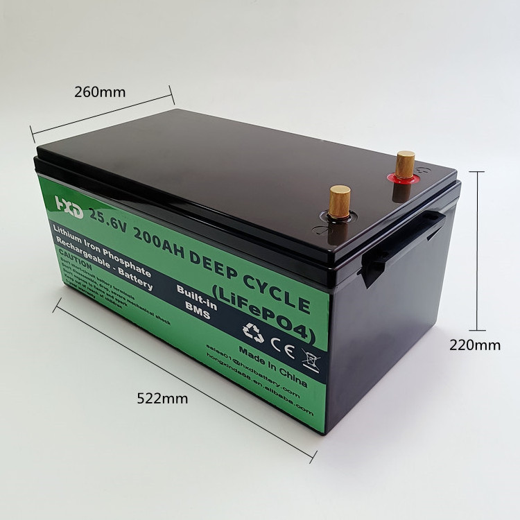 Lifepo4 Battery Pack 12V 24V 50Ah 100Ah 200Ah for Lithium Rv Battery Camping Caravan AGV UPS Storage Battery