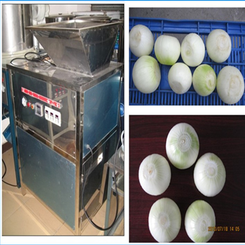 onion peeler / onion peeling machine/garlic & onion peeler machine