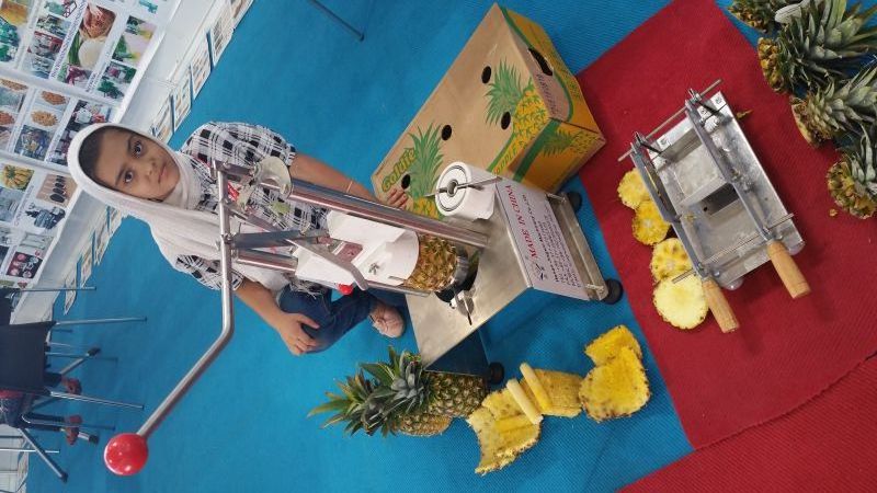 Hot sale stainless steel pineapple peeler machine manual pineapple peeling and coring machine