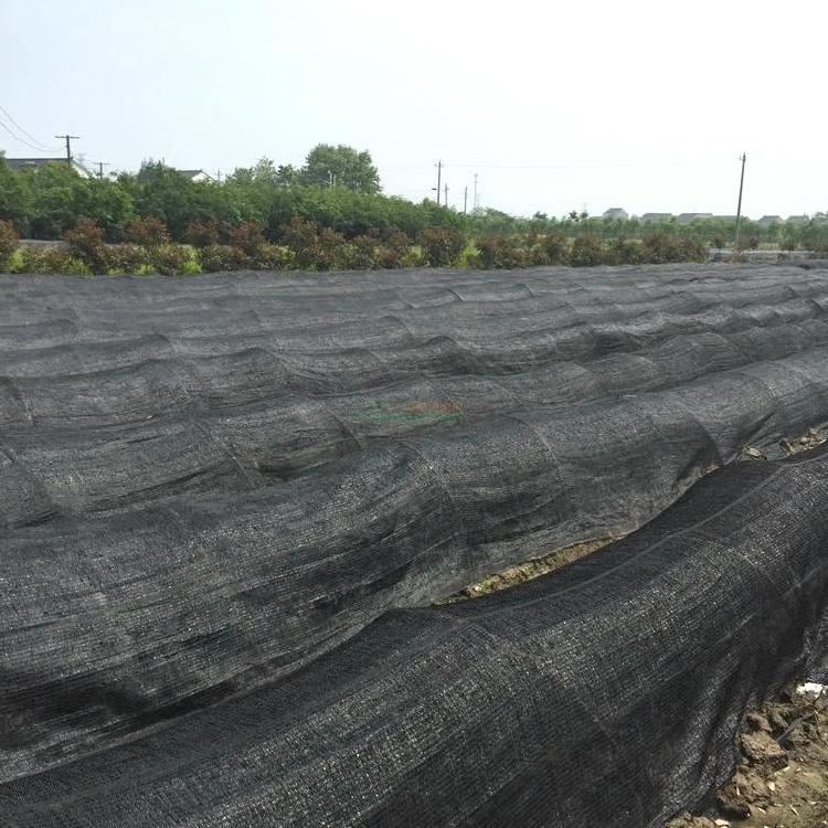 TH factory customized shade nets 30-90% shade agro shade net in hyderabad vegetable garden agro