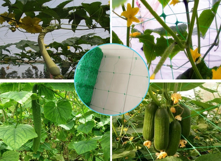 factory good price Plant Support Cucumber Netting  White/Green Cucumber Plant Climbing Net plastic Plant Support Mesh