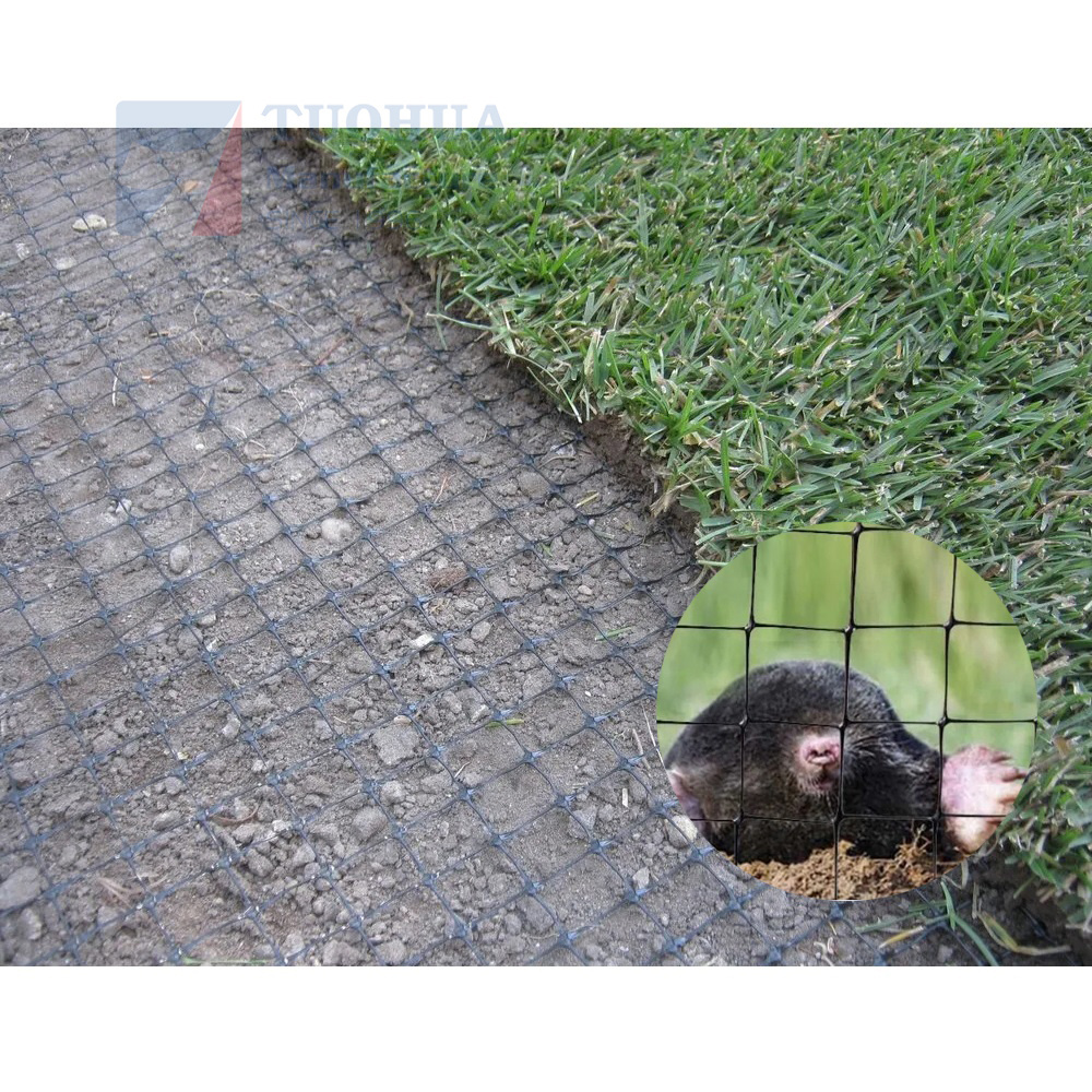 PP Materials plastic Garden Under-turf plastic mesh Black Anti Mole Netting