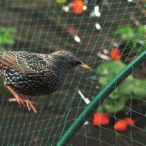 Anti Bird Net For Farm Agriculture Orchard Protective Anti Bird Net Bird Resist Mesh Supplier