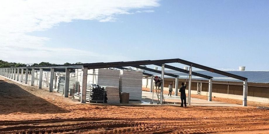 China Low Cost Prefab light Metal Steel Structure Farm Building Cow Chicken Sheep barn shed for sale for Australia market