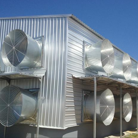 China Low Cost Prefab light Metal Steel Structure Farm Building Cow Chicken Sheep barn shed for sale for Australia market