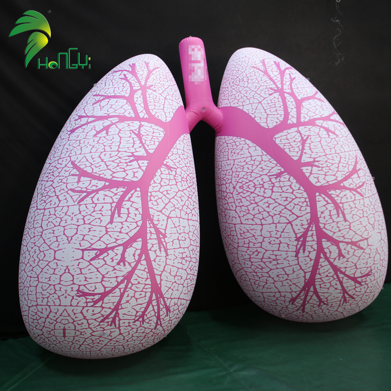 Event Promotion Display PVC Plastic Inflatable Balloon Lung Human Giant Inflatable Lung Model