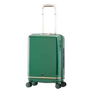 HongYue Carry-On Luggage 18inch Hardside Spinner Lightweight Suitcase with TSA Lock.