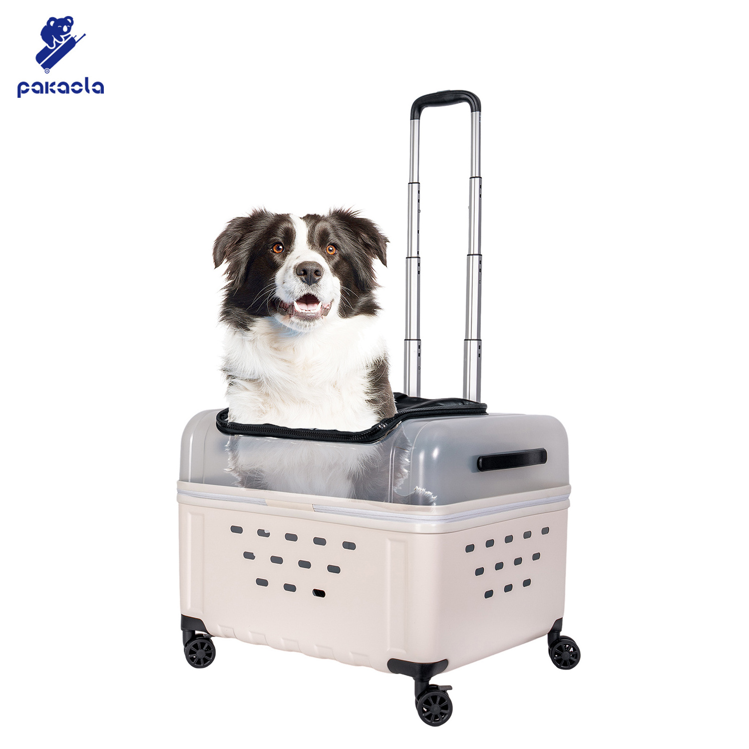 Travel Breathable Capsule Pet Trolley Suitcase Portable Cat And Dog Universal Pet Trolley Case With Transparent