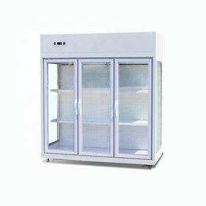 Upright Open Glass Door Flower Fridge flower refrigerator