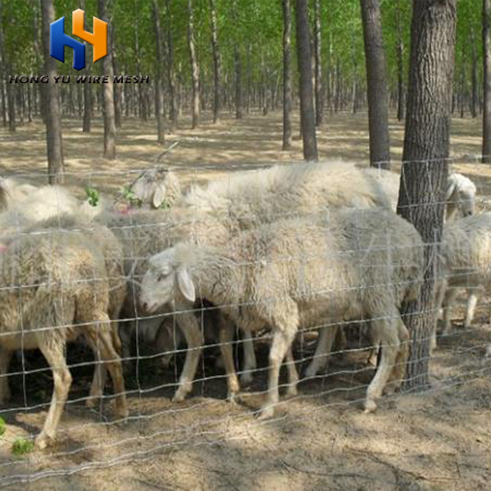 wire mesh sheep and goat farming cheap farm fence