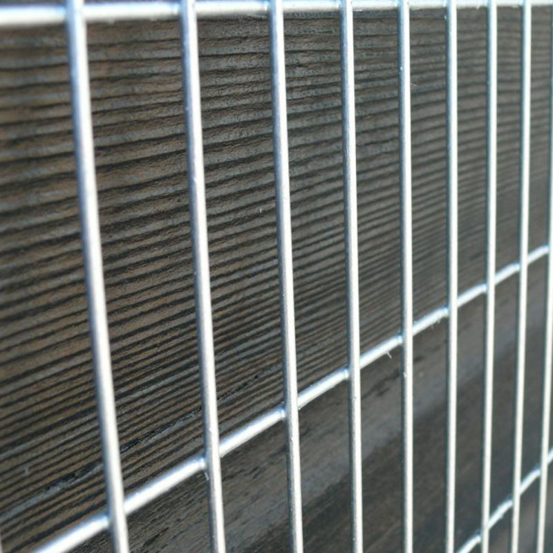 Hot Dipped Galvanized 50 x 50mm Welded Wire Mesh Fence Panel 6mm Welded Wire Mesh