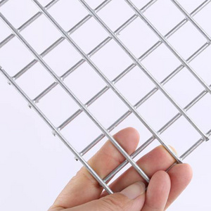 Hot Dipped Galvanized 50 x 50mm Welded Wire Mesh Fence Panel 6mm Welded Wire Mesh