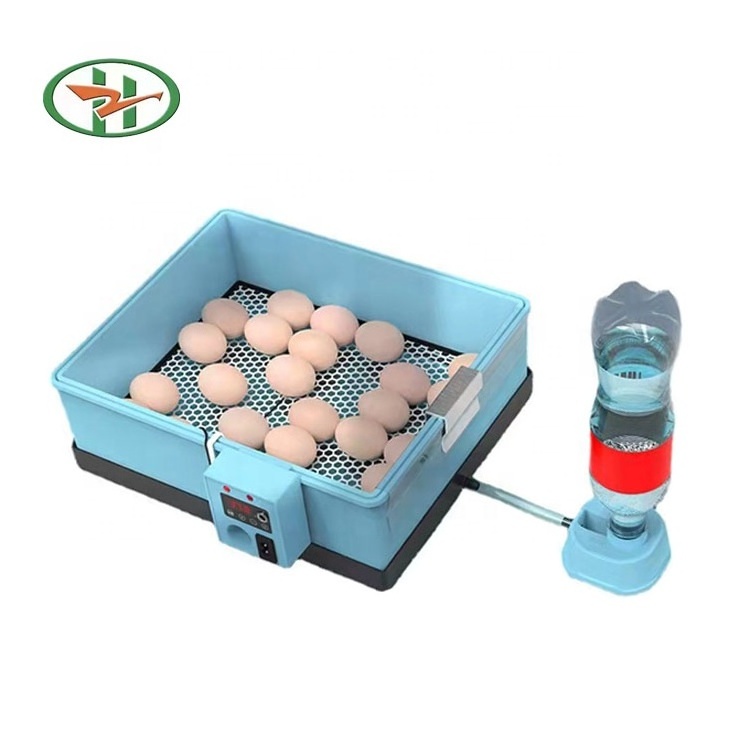 Wholesale mini incubator cheap price 22 eggs  incubators hatching eggs for sale