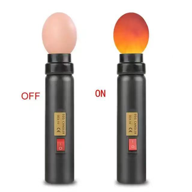 Factory wholesale egg candler custom design laboratory ABS egg tester candler lamp cheap price