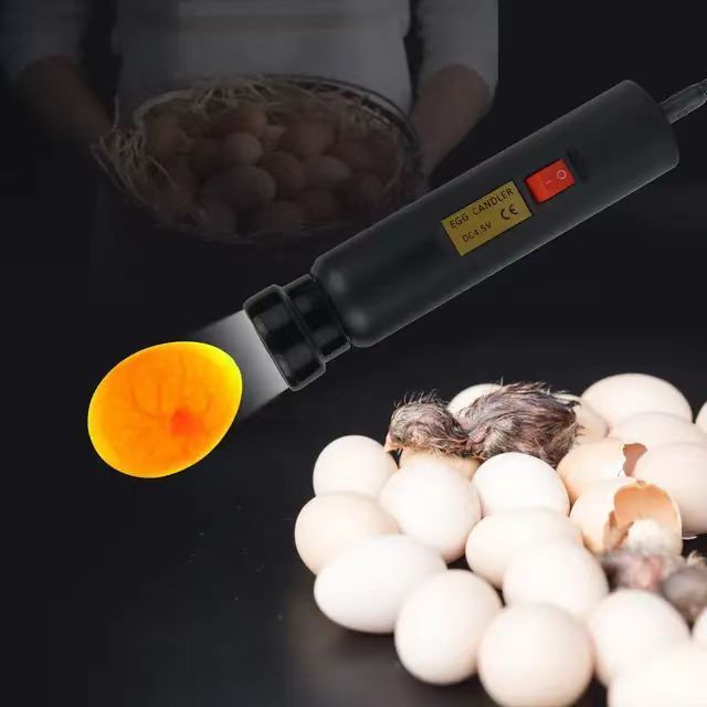 Factory wholesale egg candler custom design laboratory ABS egg tester candler lamp cheap price