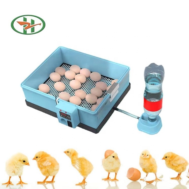 Wholesale mini incubator cheap price 22 eggs  incubators hatching eggs for sale