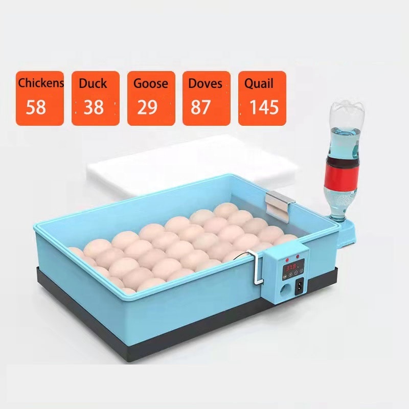 Wholesale mini incubator cheap price 22 eggs  incubators hatching eggs for sale