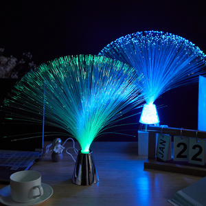 USB Rechargeable  Battery Operated Color Changing Party Crystal Fiber Optic Lights Led Optical Fiber Fountain Night Lamp