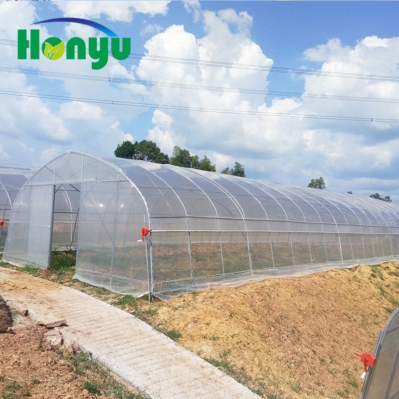 Low Cost 200 micron PE Film Tunnel Tropical Greenhouse Used For Sale for Growing Cucumber/Tomato/Strawberry/leafy vegetable