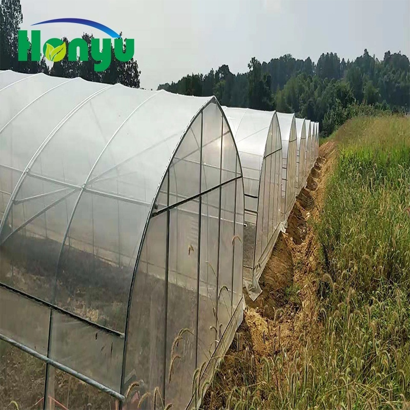 Low Cost 200 micron PE Film Tunnel Tropical Greenhouse Used For Sale for Growing Cucumber/Tomato/Strawberry/leafy vegetable